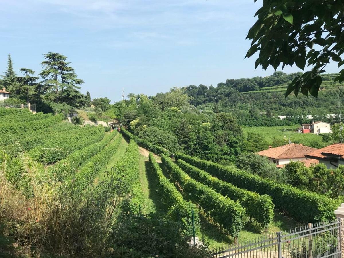 SantʼAmbrogio di Valpolicella Valpolicella Homes Recioto Apartment מראה חיצוני תמונה