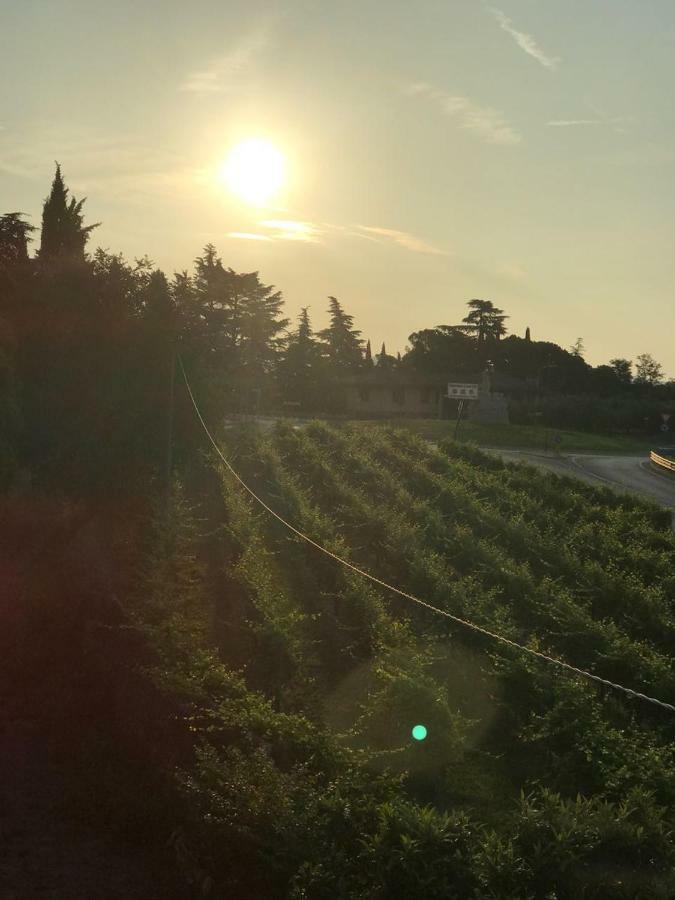SantʼAmbrogio di Valpolicella Valpolicella Homes Recioto Apartment מראה חיצוני תמונה